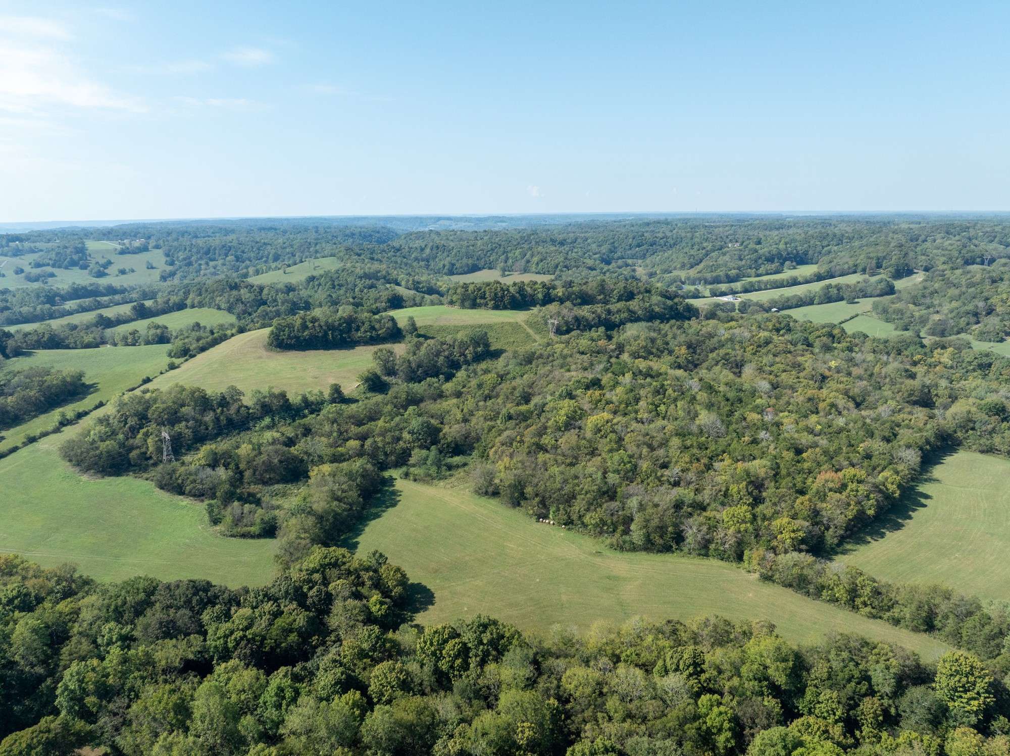 Lewisburg, TN 37091,1936 Hobo Shaw Rd