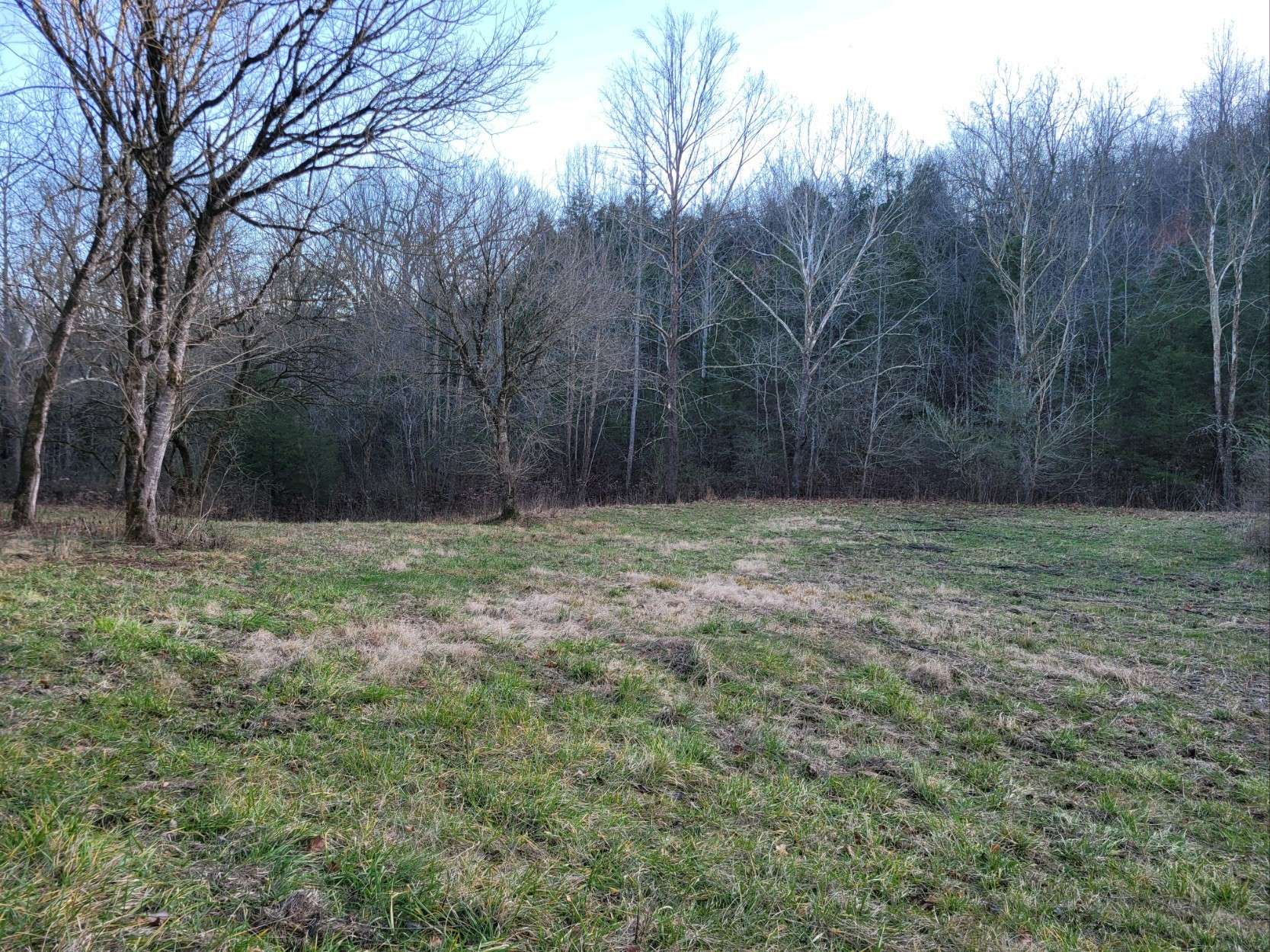 Petersburg, TN 37144,0 Hannah Br Rd