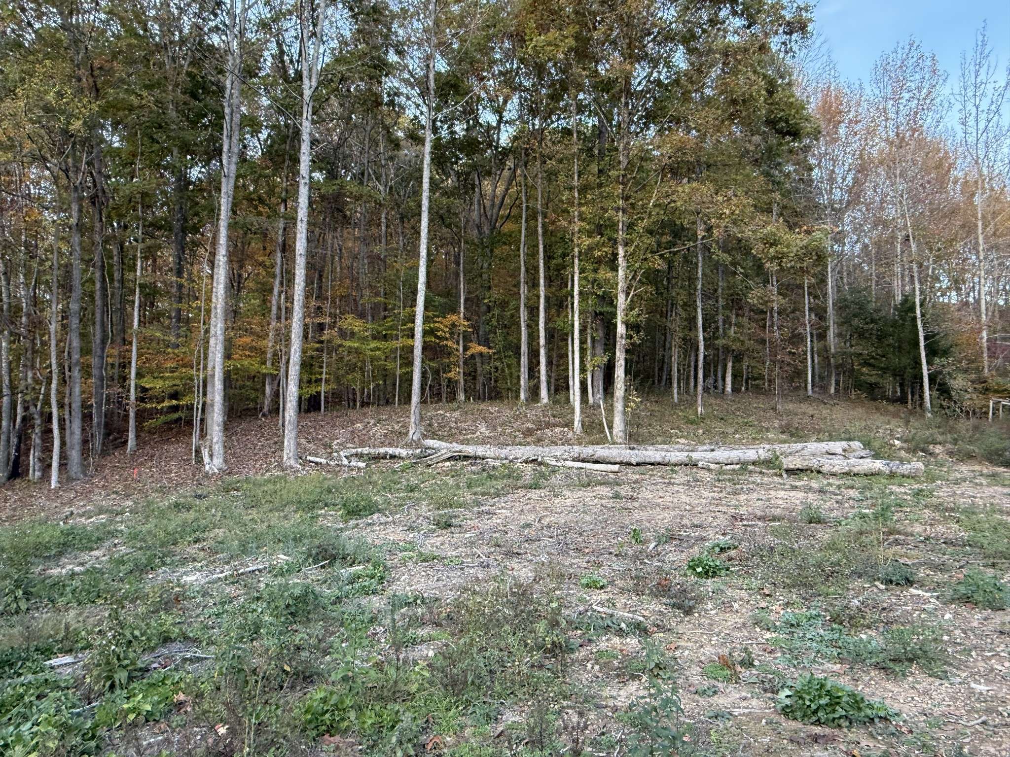 Whites Creek, TN 37189,0 Tranham Road