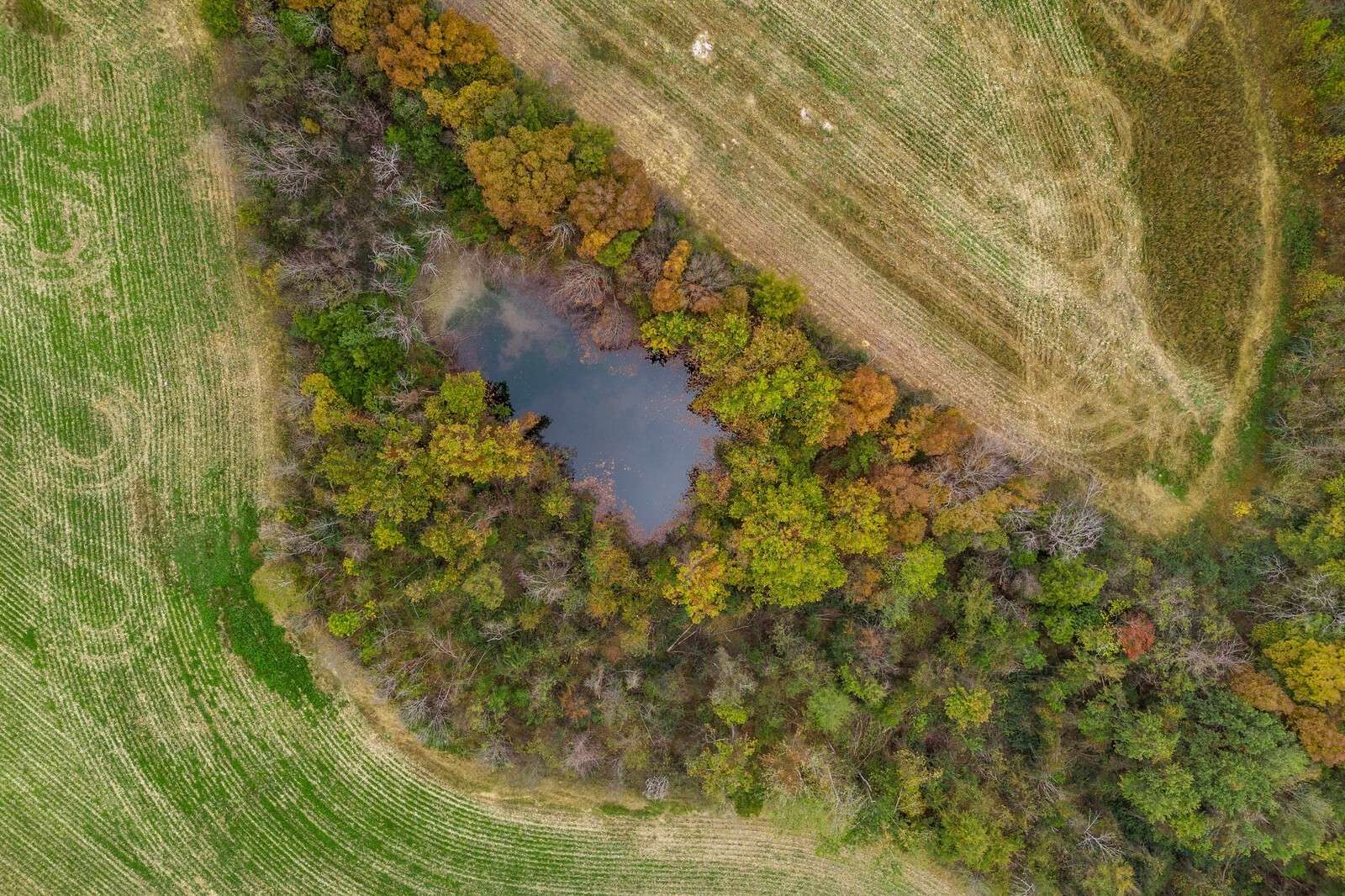 Christiana, TN 37037,0 Threet Rd