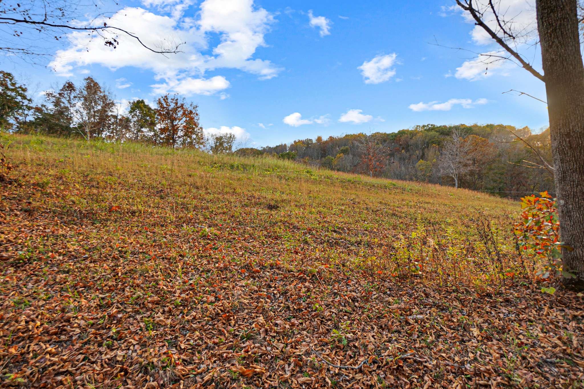 Big Rock, TN 37023,0 Joiner Hollow Road