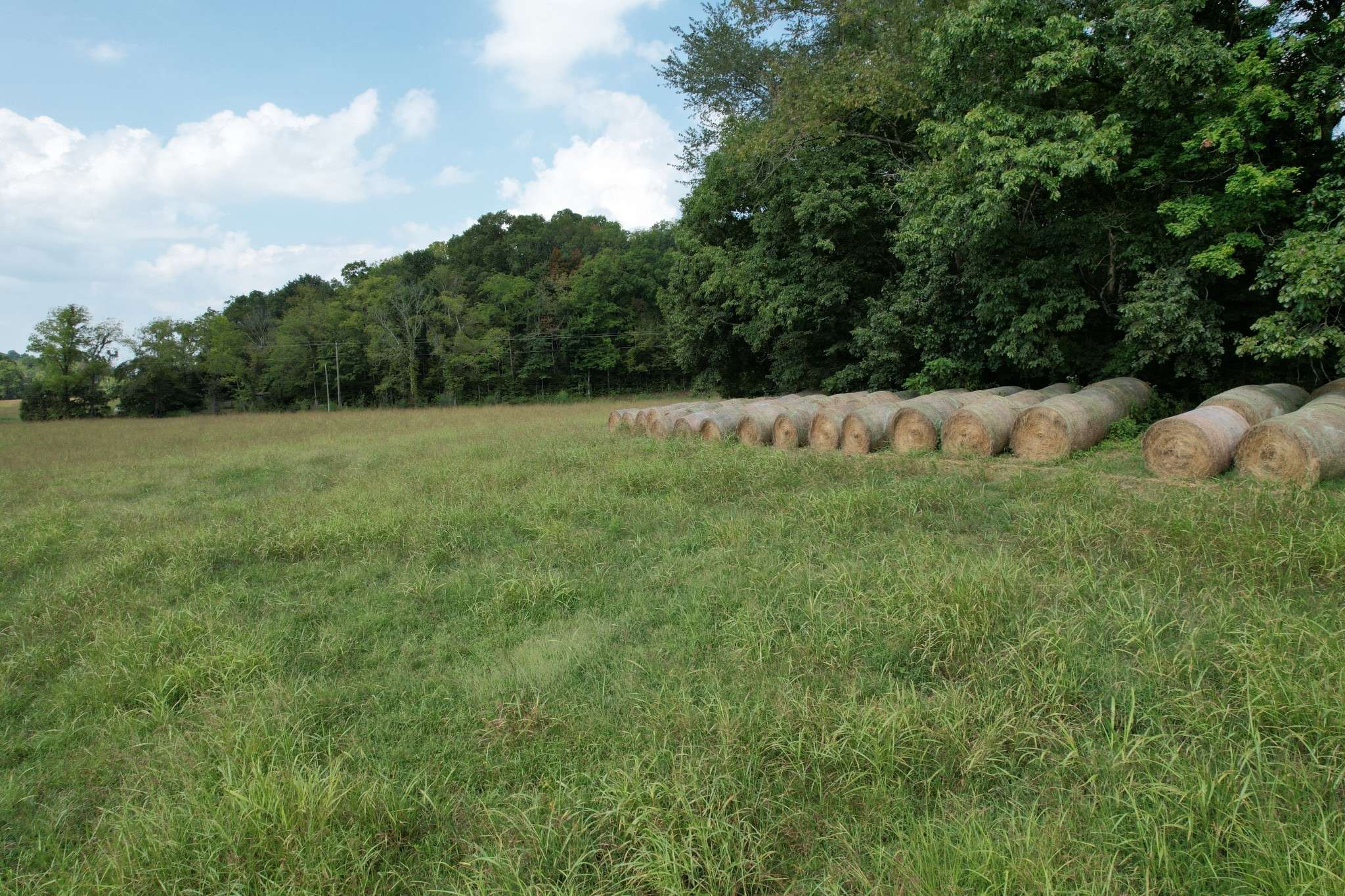 Franklin, TN 37064,1 N Lick Creek Rd