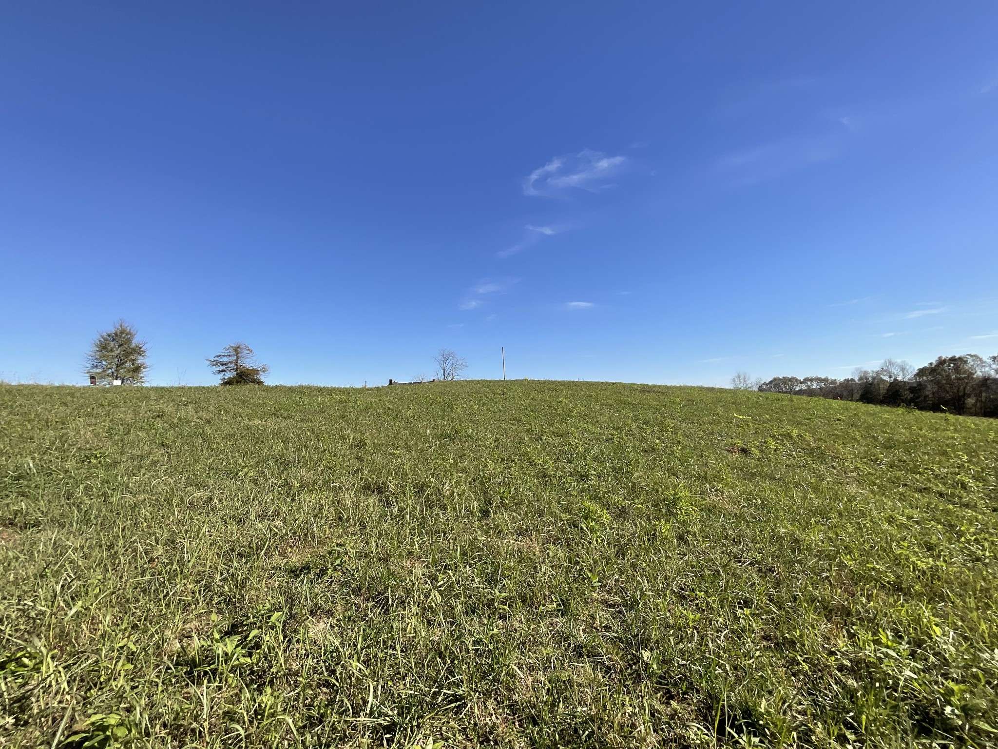 Cumberland City, TN 37050,1 Davenport Rd