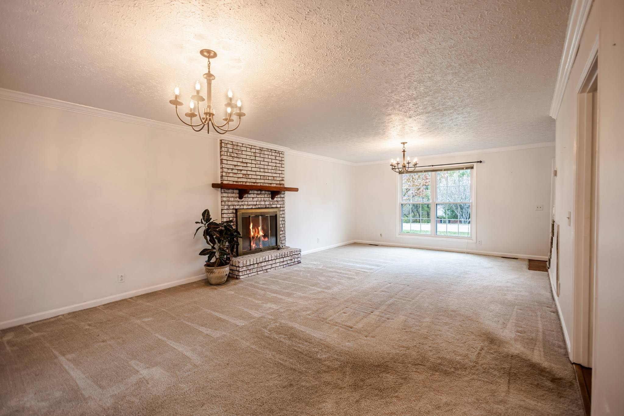 Mount Juliet, TN 37122,117 Dogwood Trl