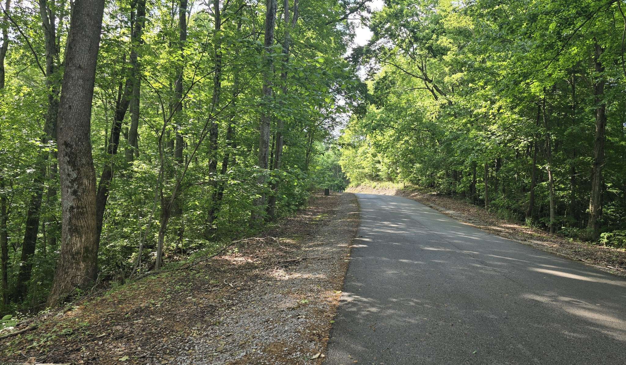 Smithville, TN 37166,3 Savannah Dr