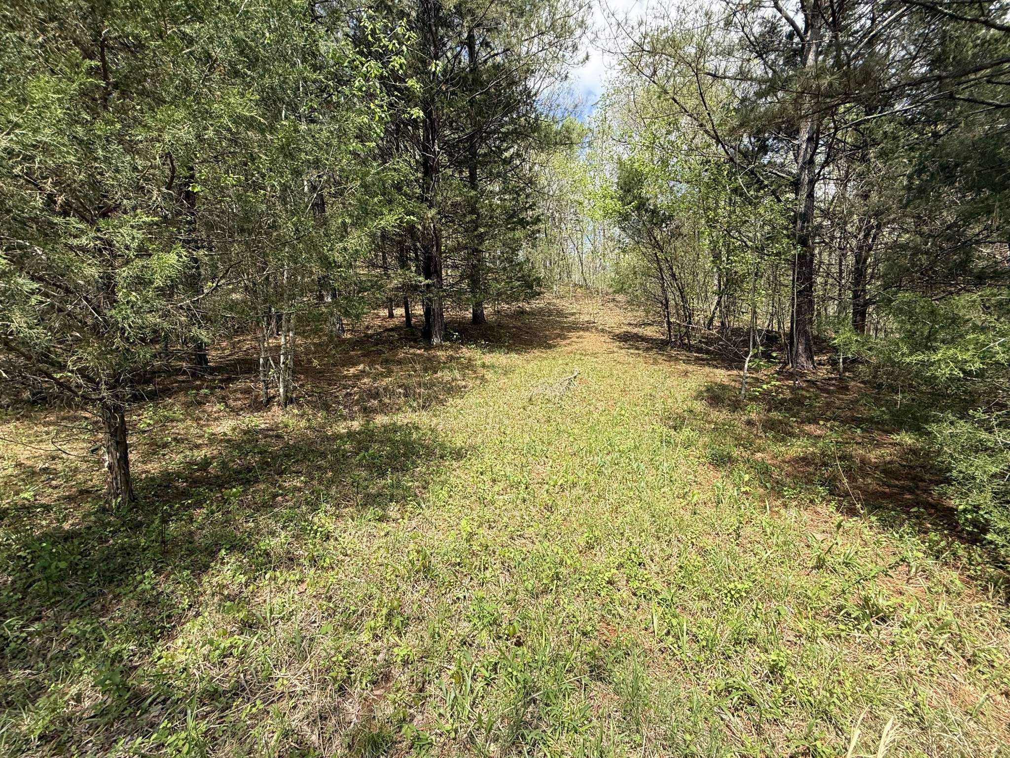 Hohenwald, TN 38462,0 Tracy Rd