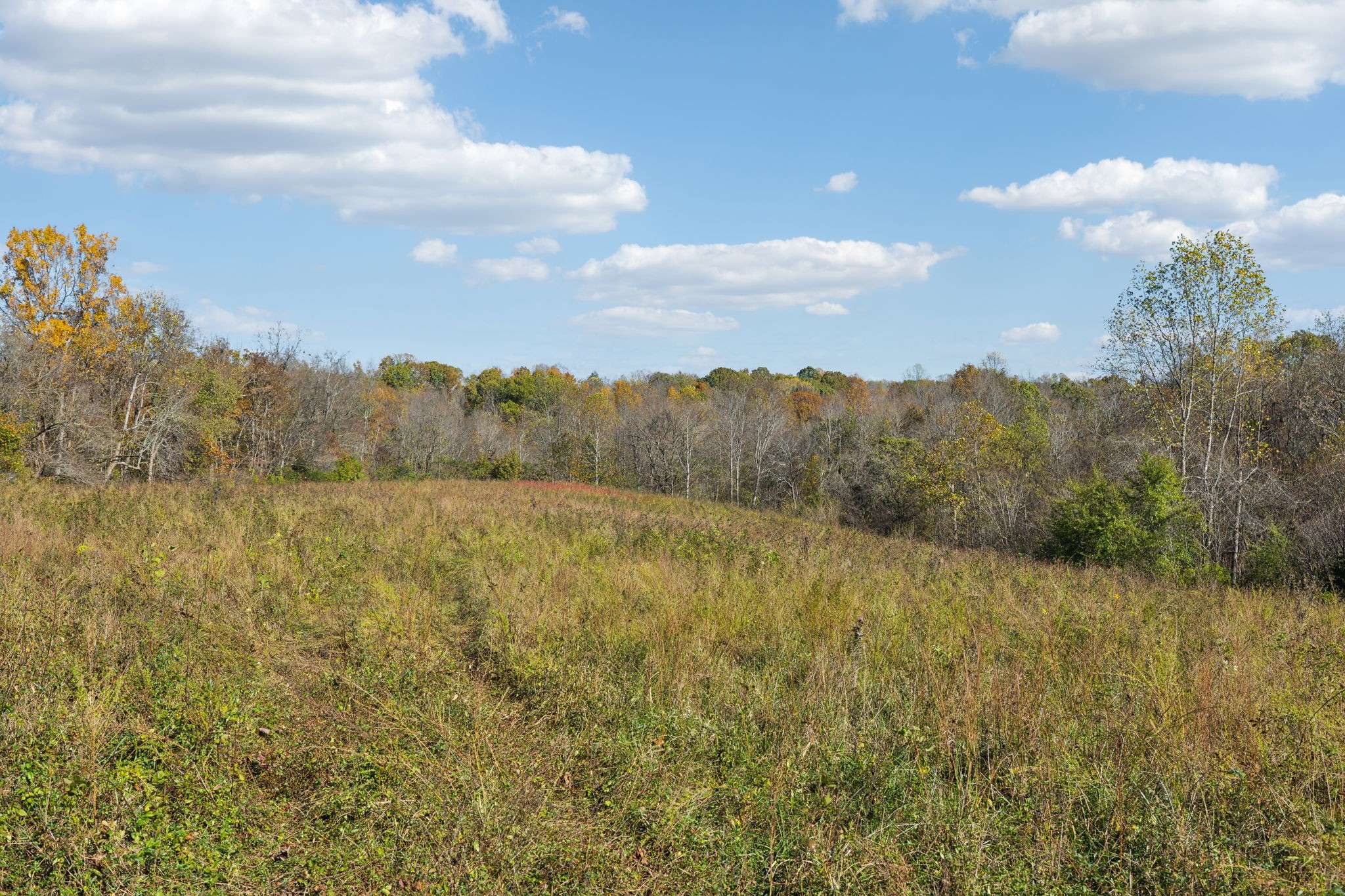 Williamsport, TN 38487,4B Akin Ridge