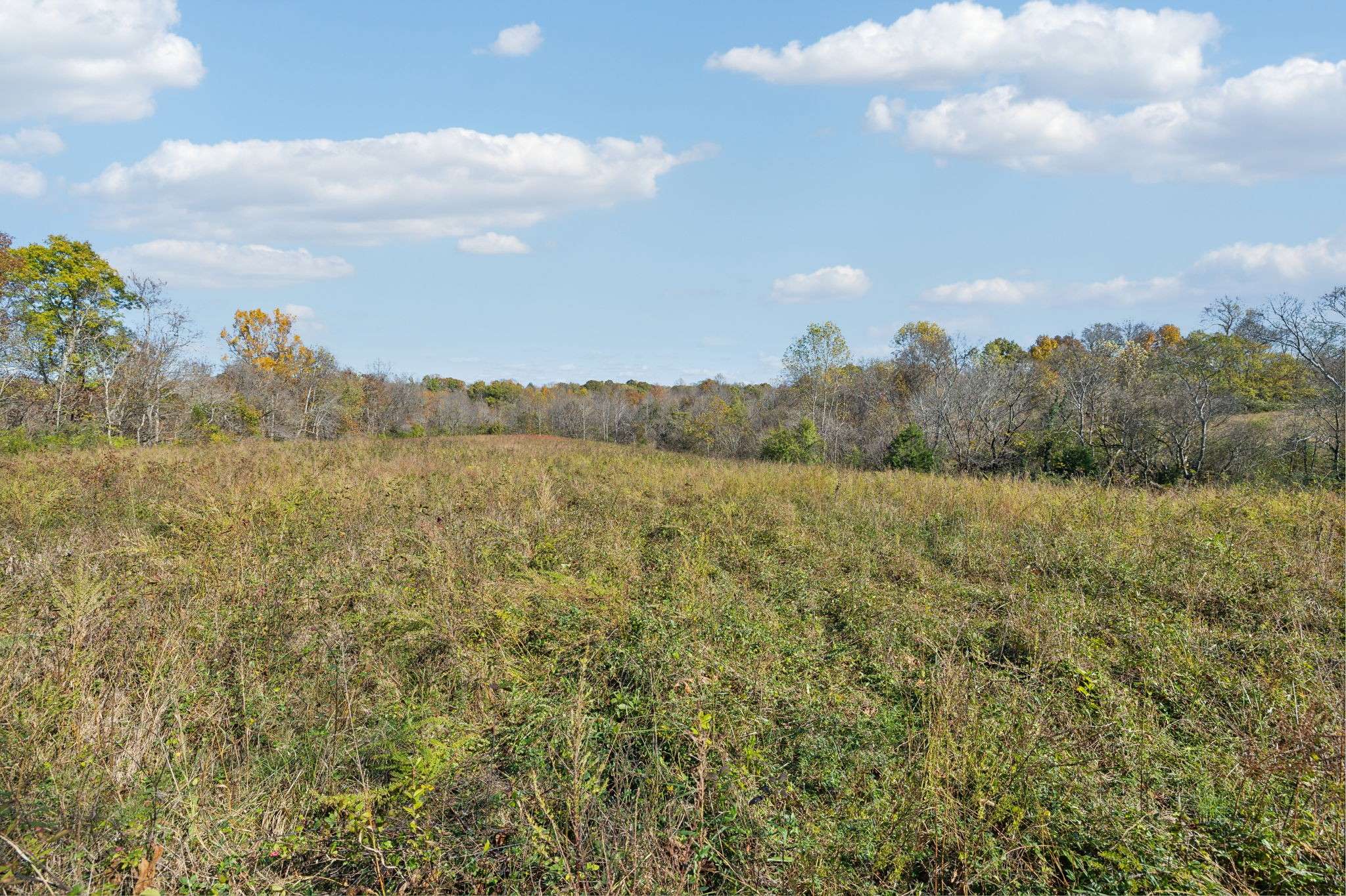 Williamsport, TN 38487,3A Akin Ridge