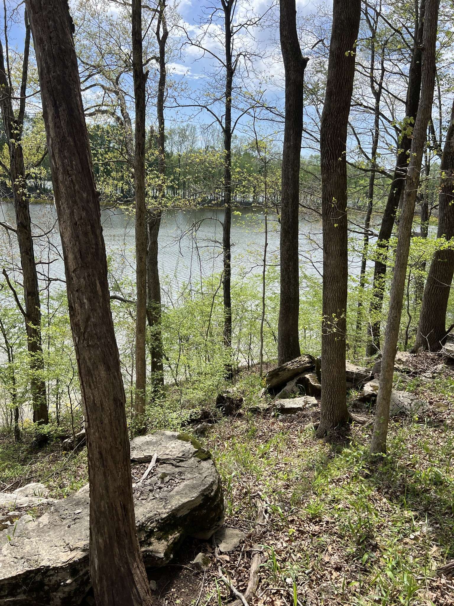 Indian Mound, TN 37079,0A Patricia CIrcle