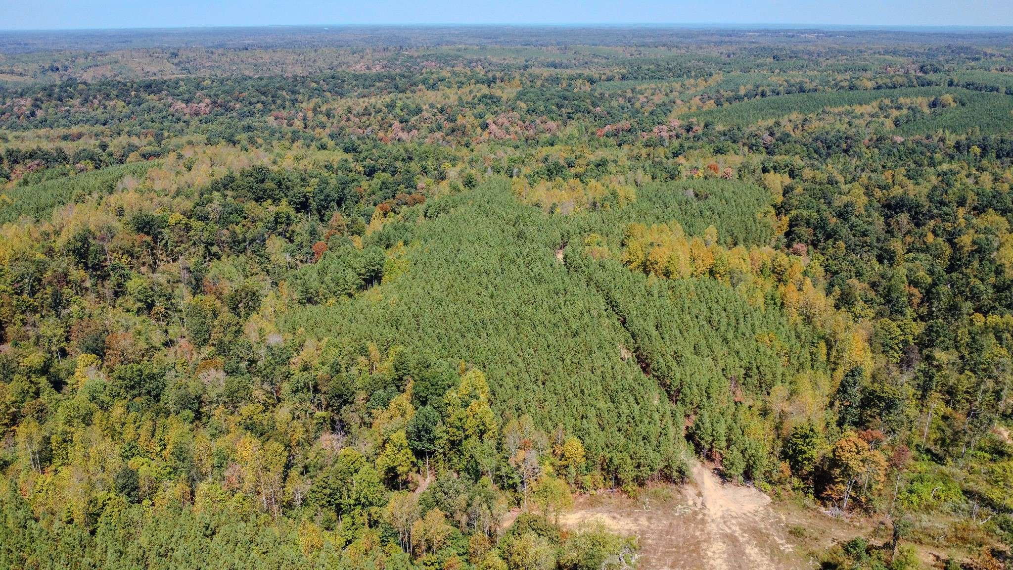 Stewart, TN 37175,0 Hurricane Road #NE