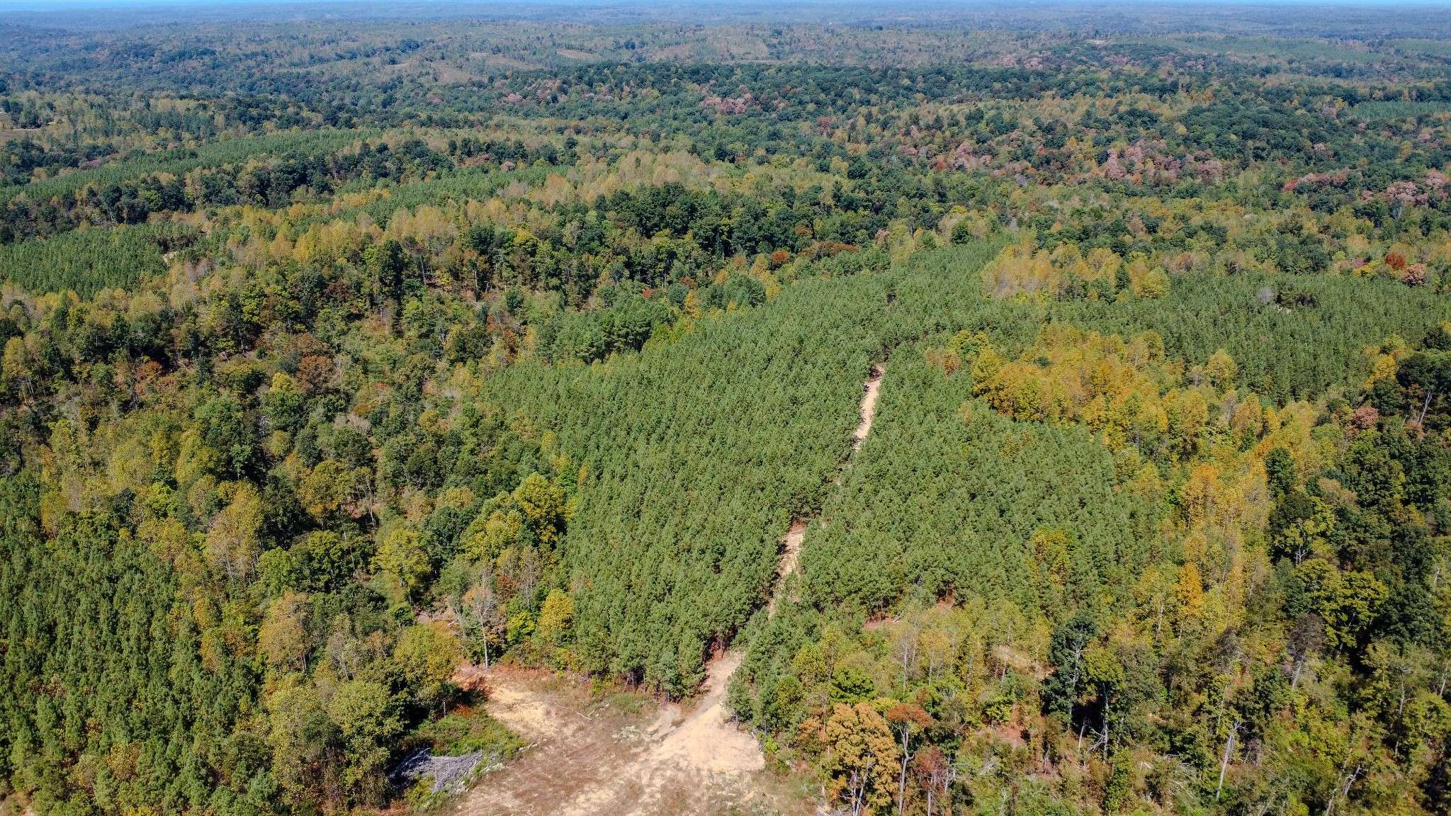 Stewart, TN 37175,0 Hurricane Road #NE