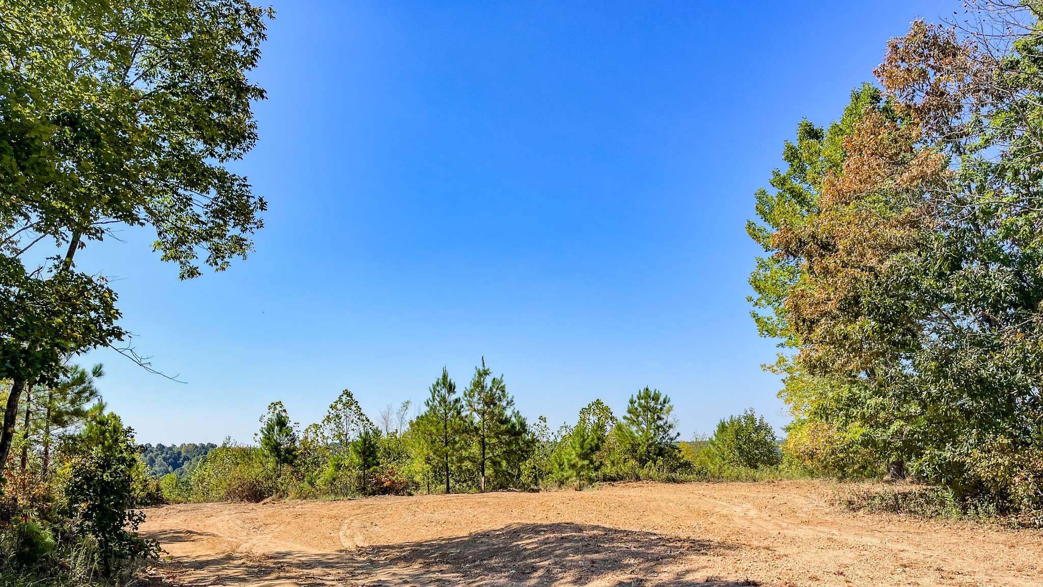 Stewart, TN 37175,0 Hurricane Road #SE