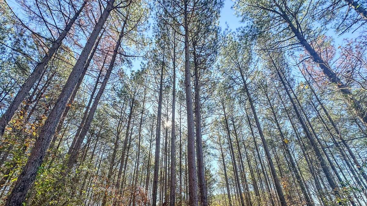 Stewart, TN 37175,0 Timber Twist Lane