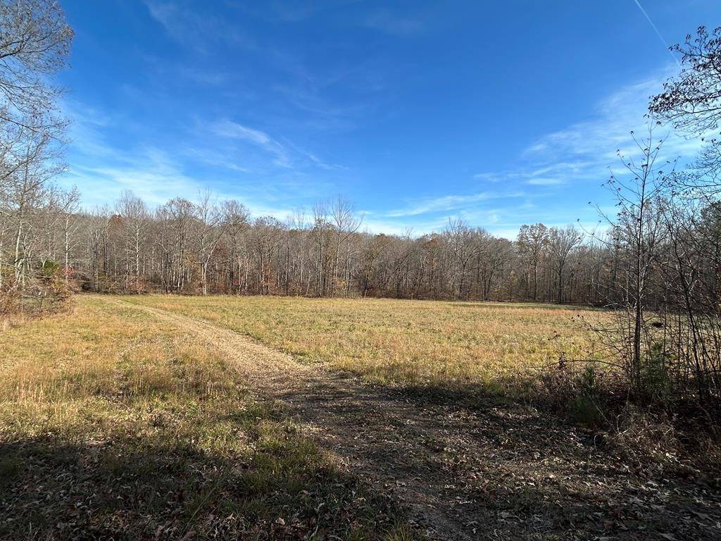 Big Sandy, TN 38221,0 Sulphur Creek Road