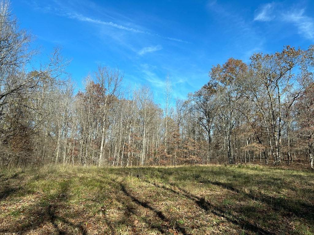 Big Sandy, TN 38221,0 Sulphur Creek Road