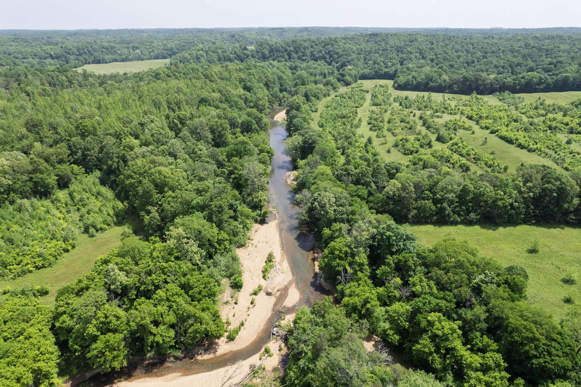 White Bluff, TN 37187,1125 Dawson Rd