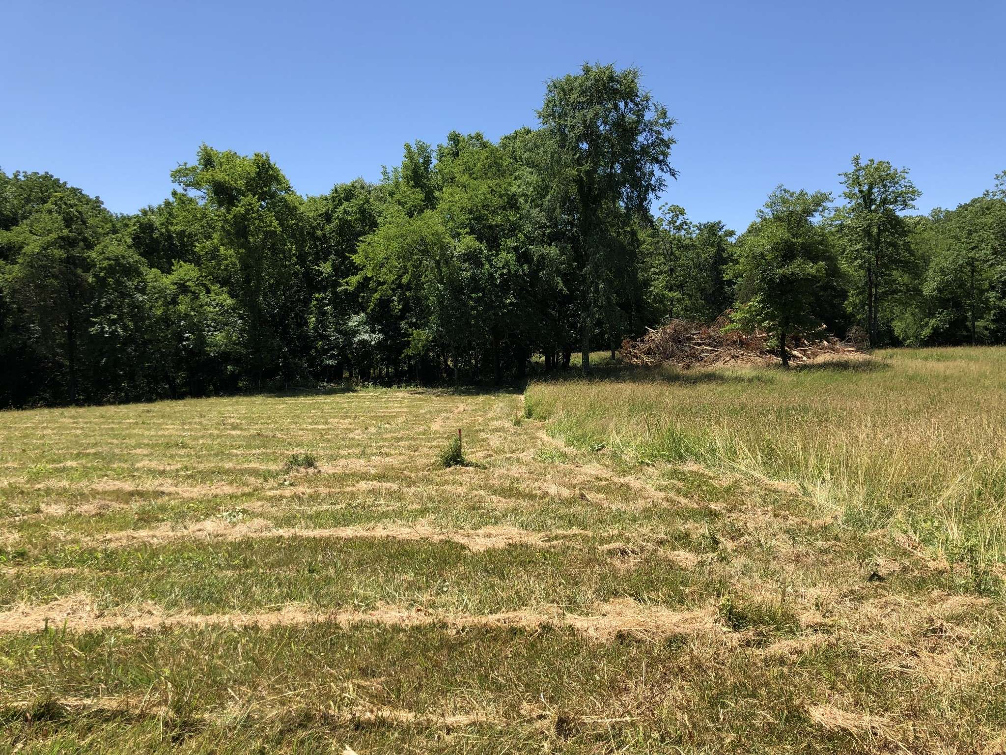 Gallatin, TN 37066,689 Wallace Rd