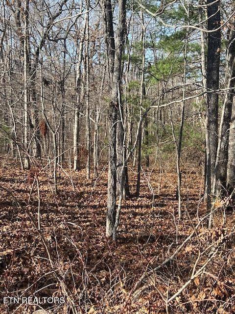 Crossville, TN 38572,9142 Weketa Cir