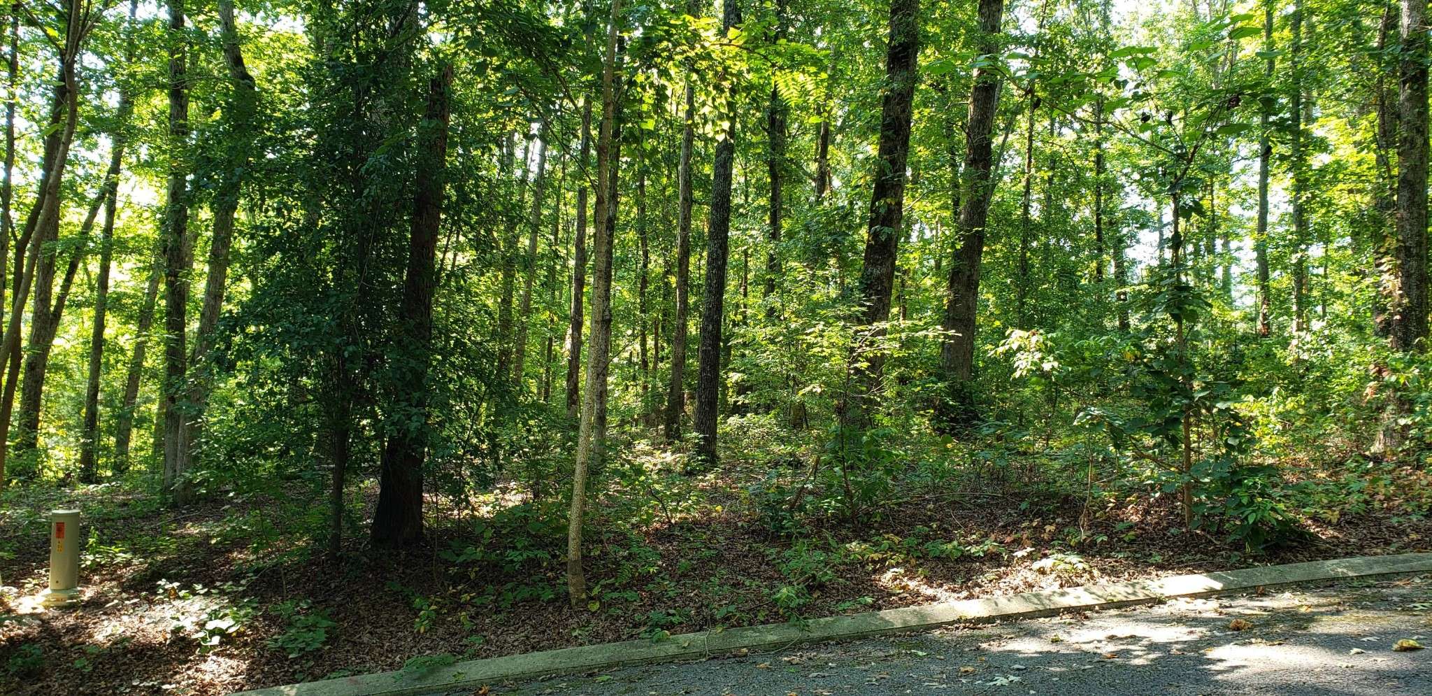 Dunlap, TN 37327,0 Shady Oaks Cove