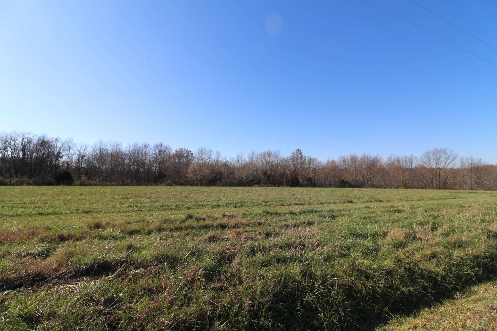 Lafayette, TN 37083,121 Coley Court