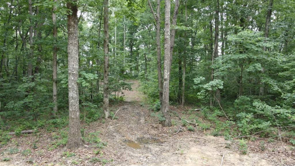 Monteagle, TN 37356,51 Mossy Rock Ln