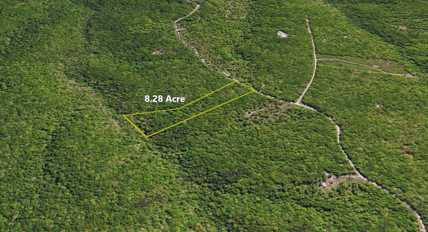 Wilder, TN 38589,0 Wilson Ridge Road