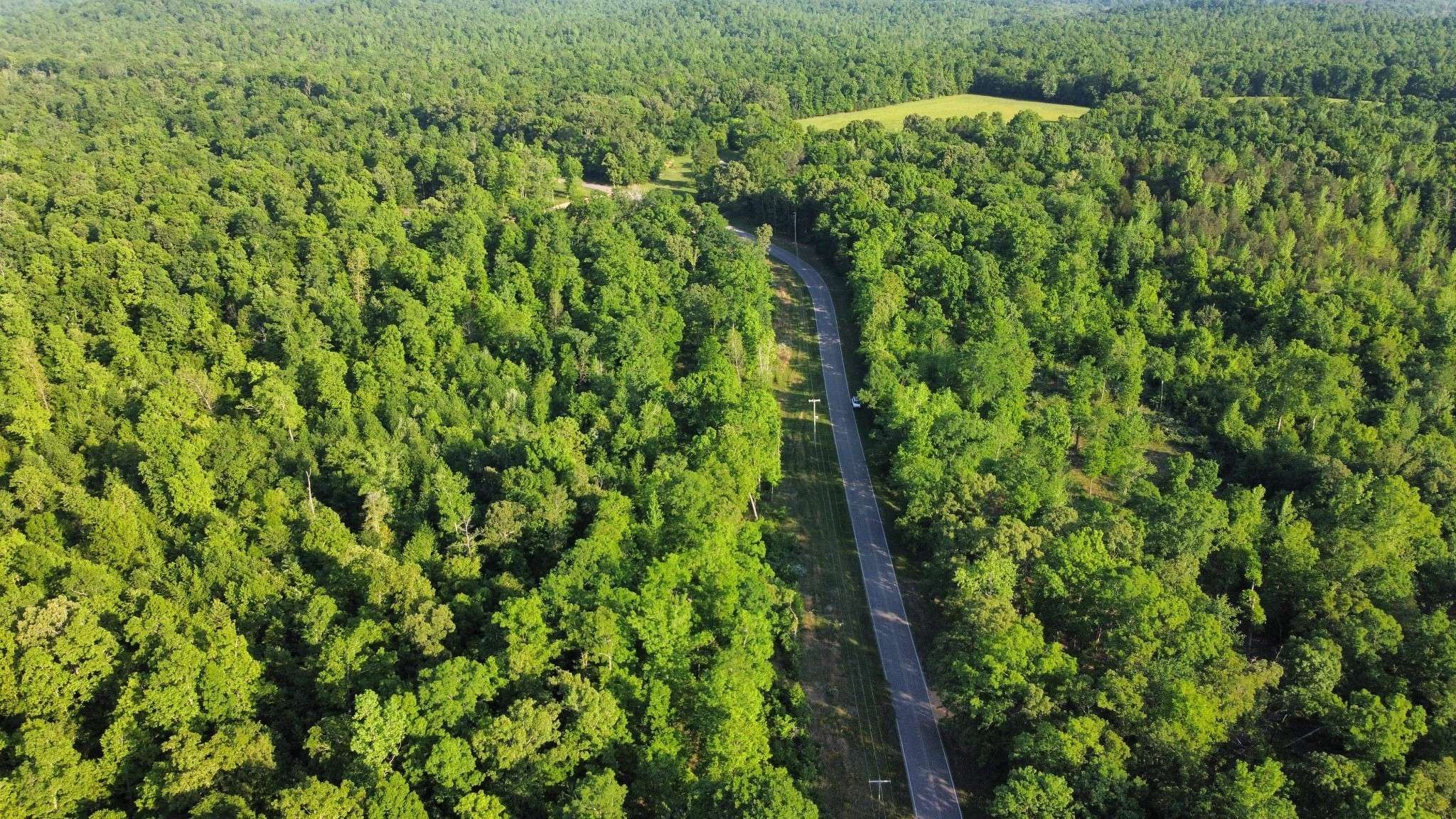 Parsons, TN 38363,0 Brodies Landing Rd