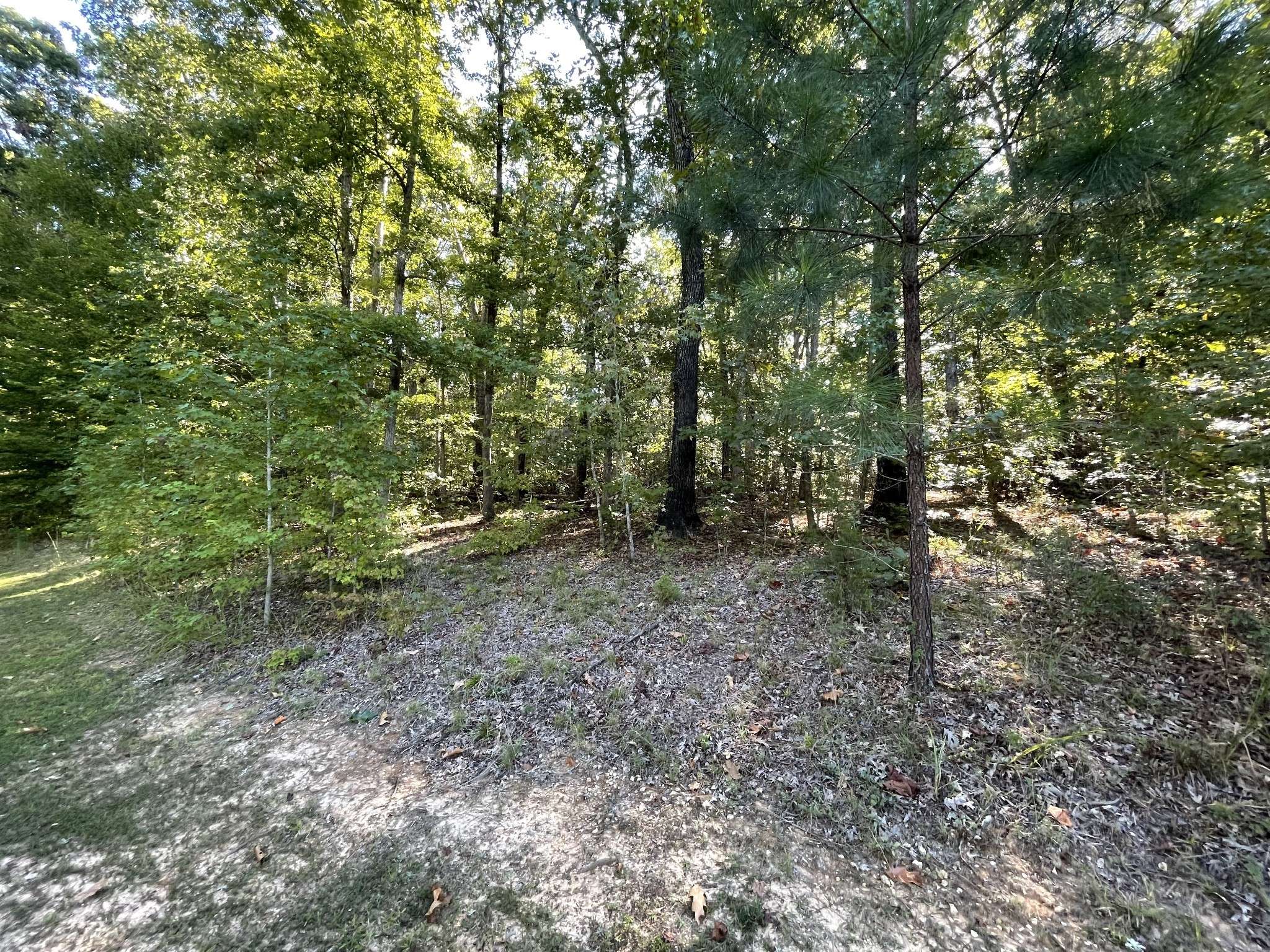 Cedar Grove, TN 38321,328 Bigysmal Ln