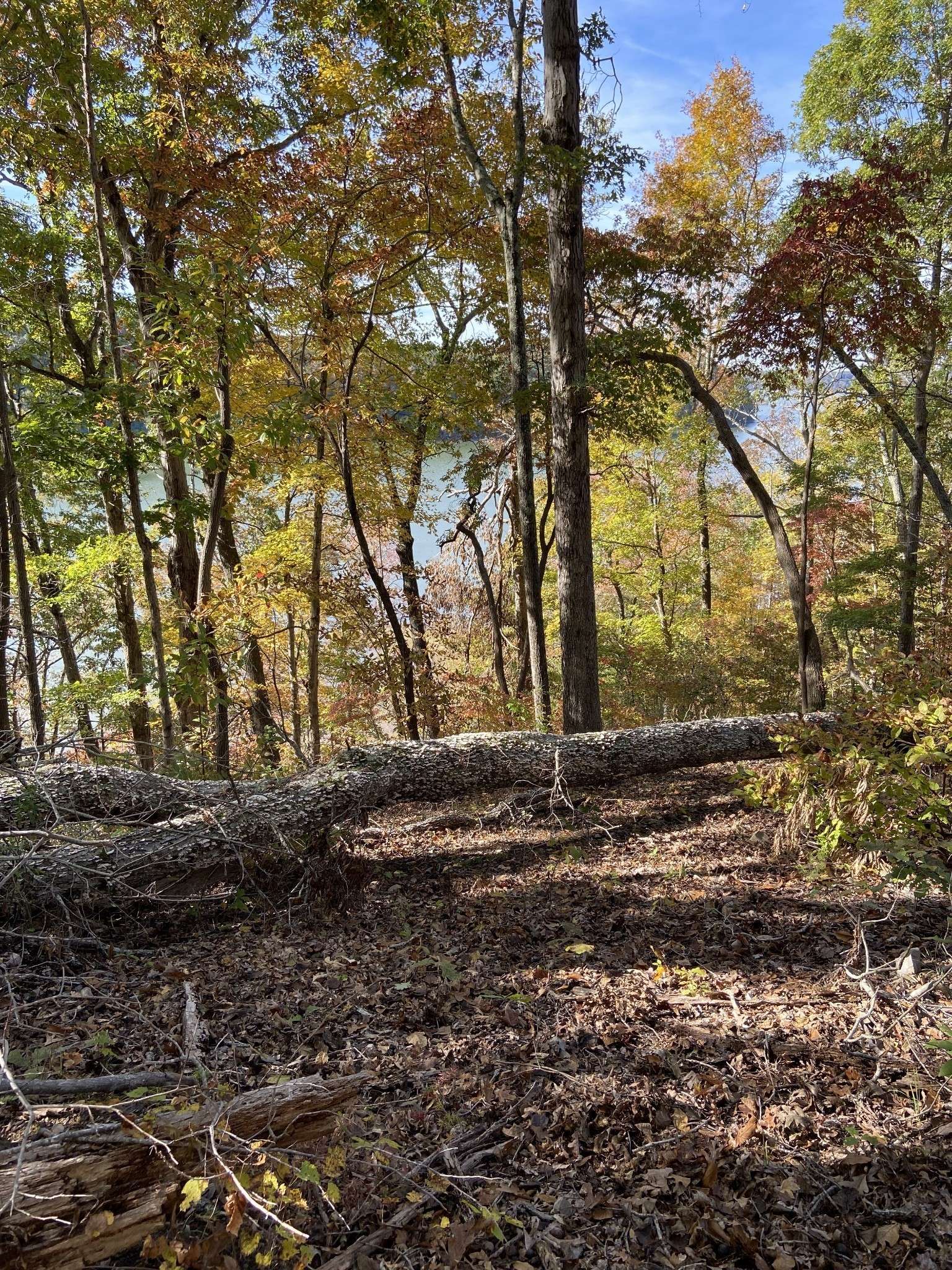 Stewart, TN 37175,0 Hurricane Creek Road