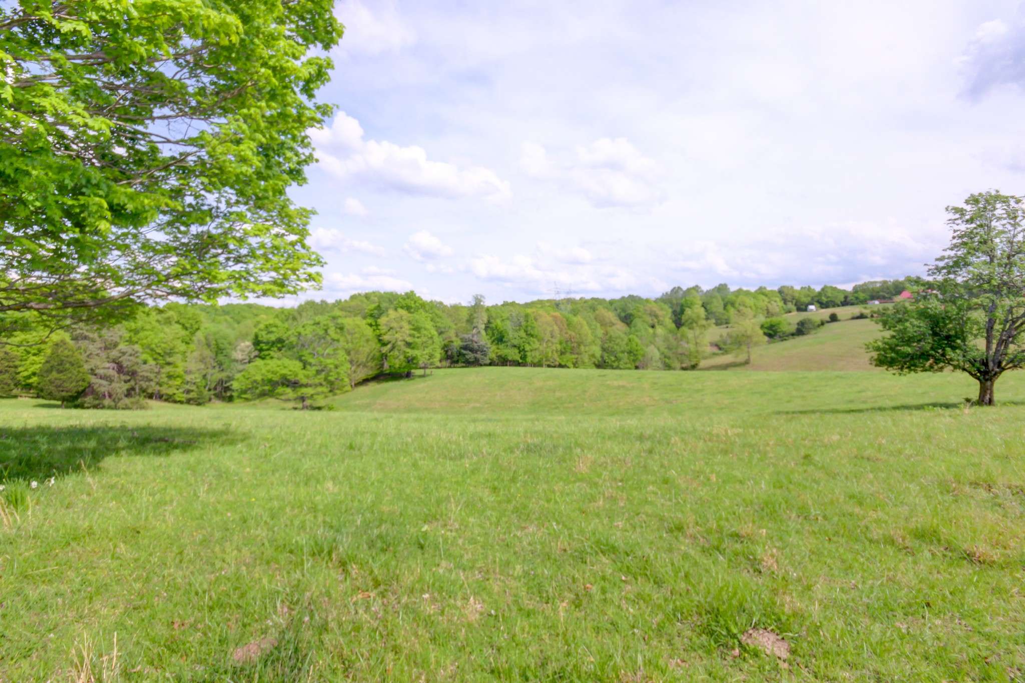 Palmyra, TN 37142,3915 Oak Ridge Rd