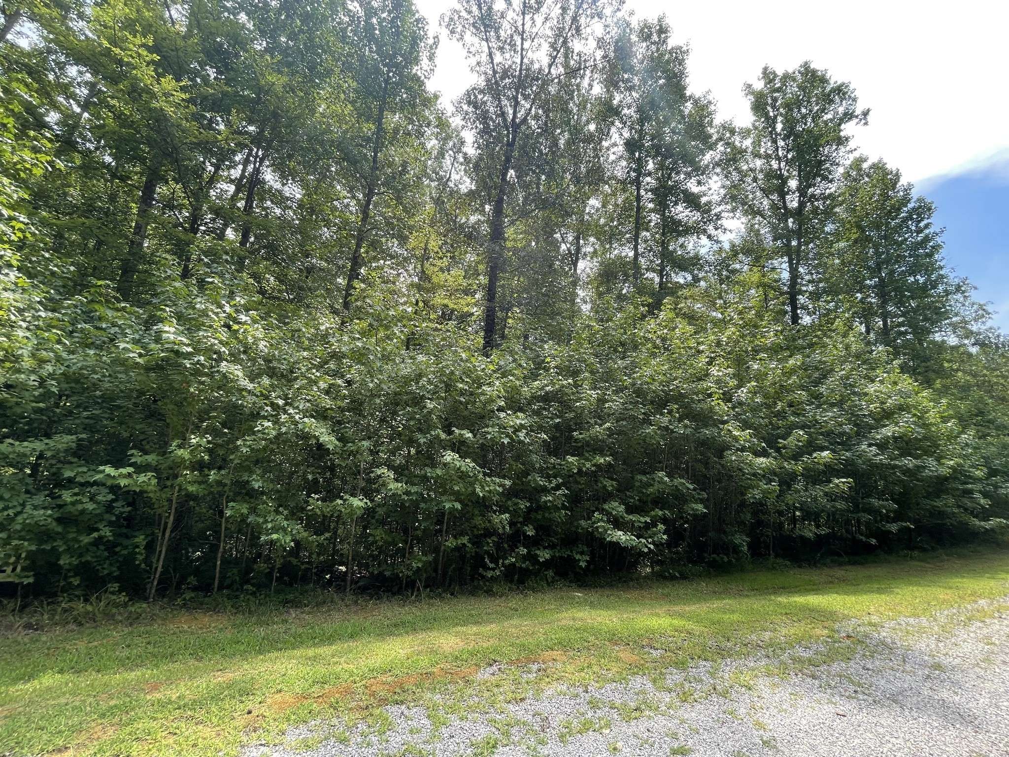 Cedar Grove, TN 38321,240 War Eagle Dr
