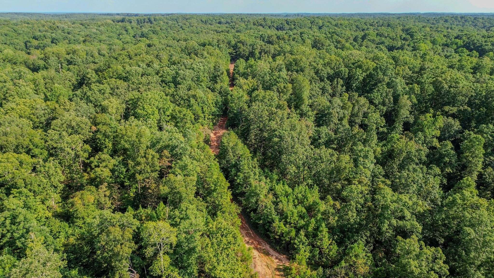Henderson, TN 38340,0 Roby Trail