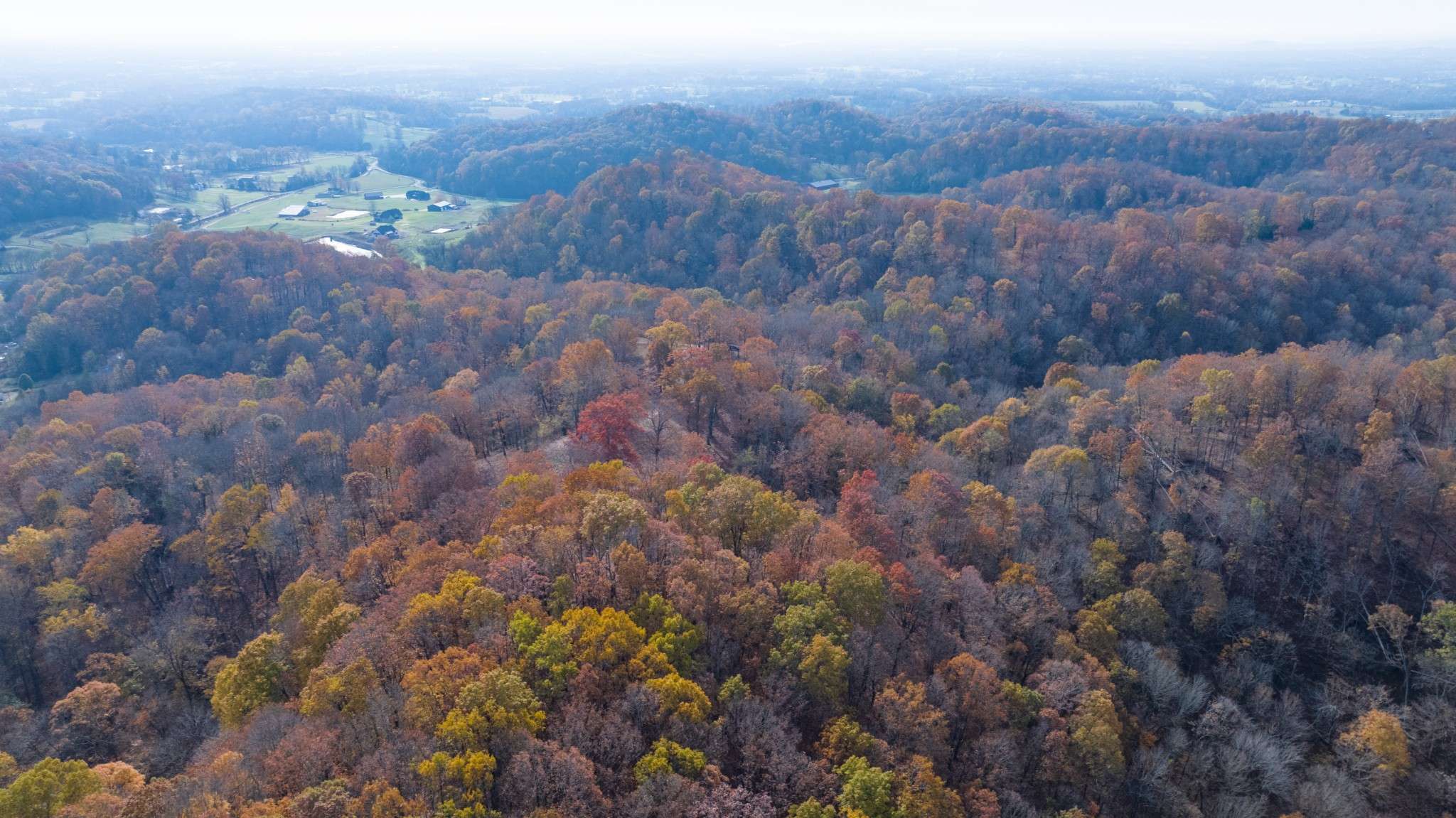 Gallatin, TN 37066,10 Brazier Lane