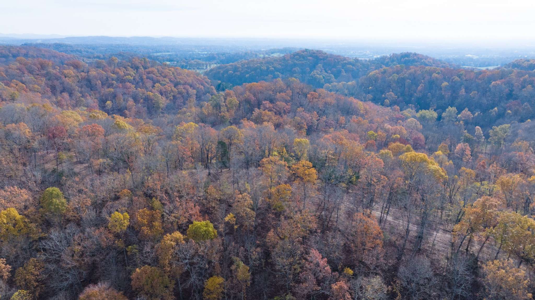 Gallatin, TN 37066,11 Brazier Lane