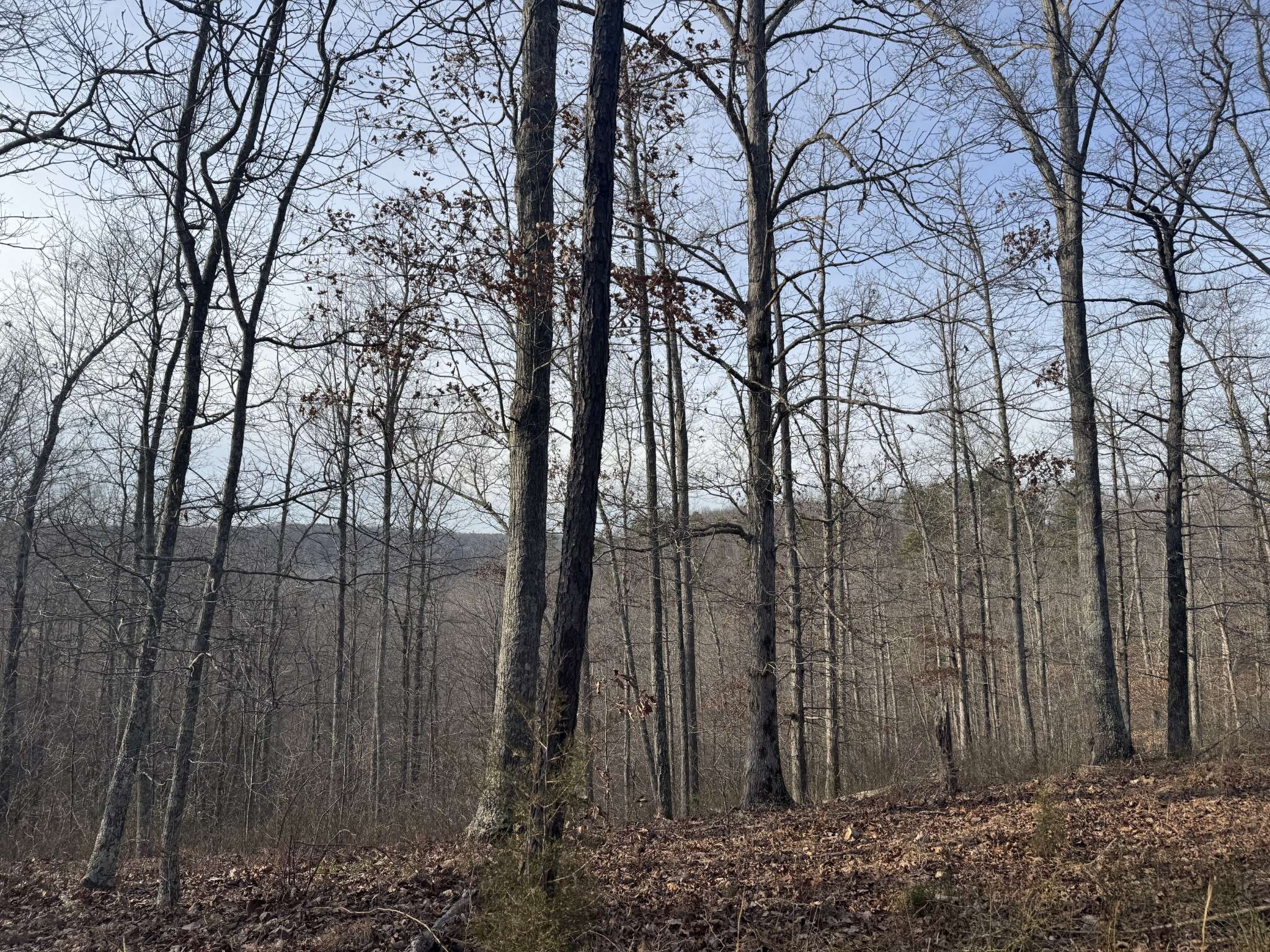 Duck River, TN 38454,0 Old Mail Road