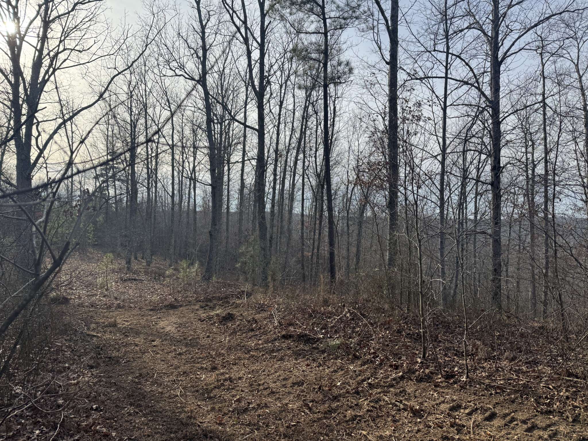 Duck River, TN 38454,0 Old Mail Road