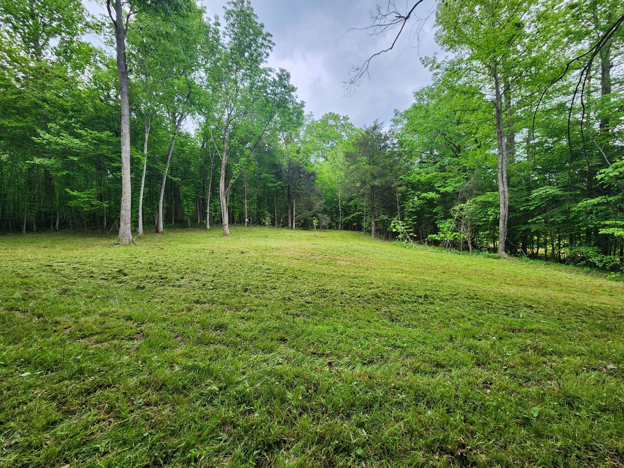 Clifton, TN 38425,0 Tinin Rd