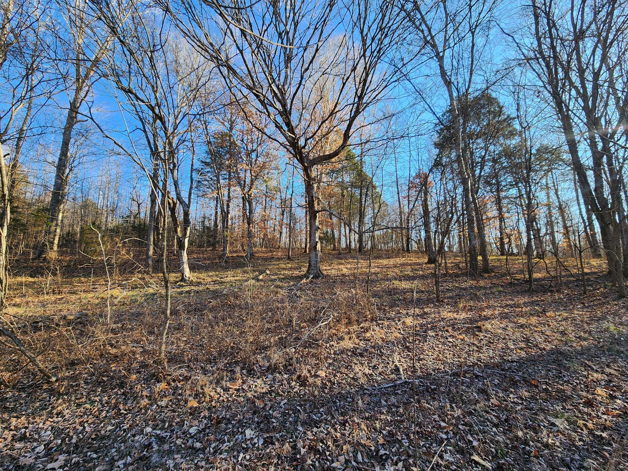 Clifton, TN 38425,5474 Tinin Rd