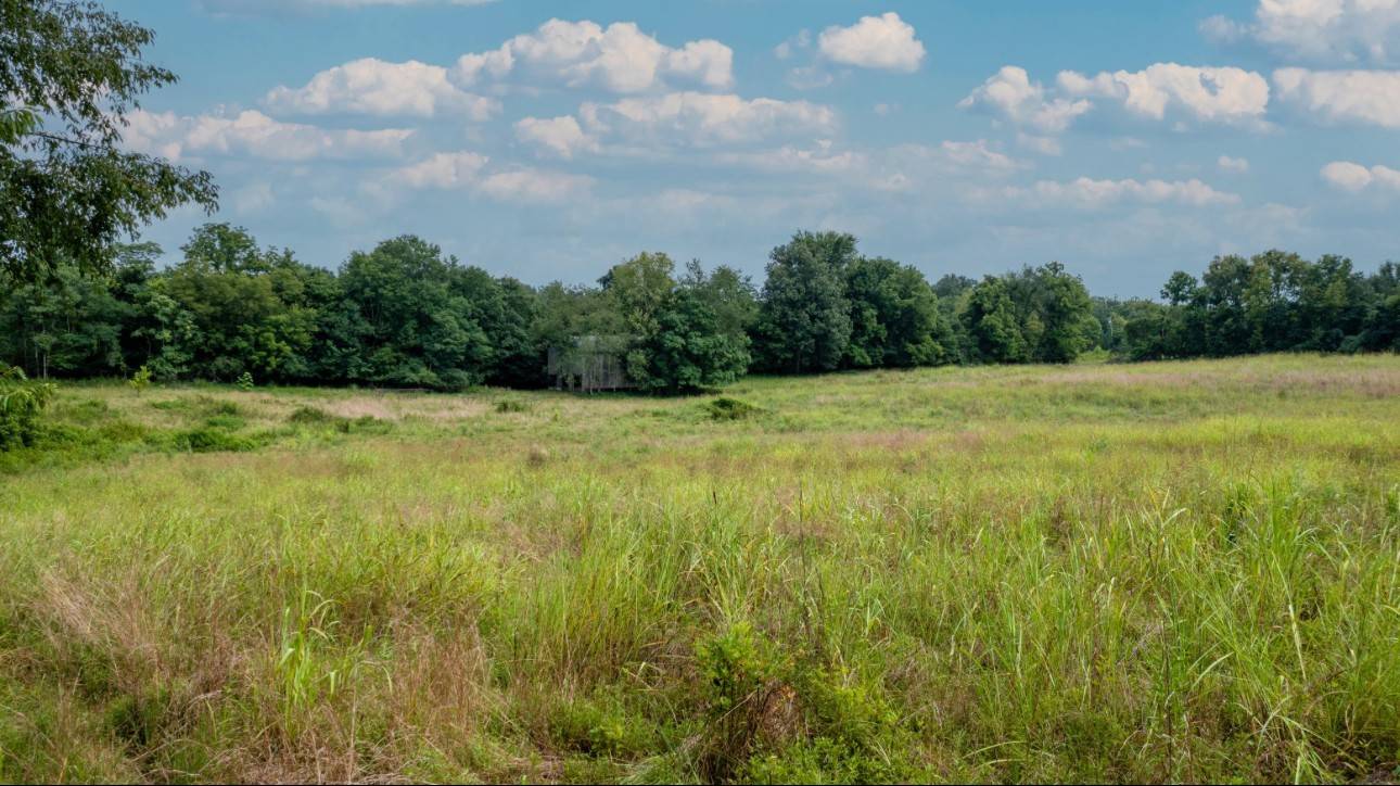 Clarksville, TN 37040,0 Needmore Road