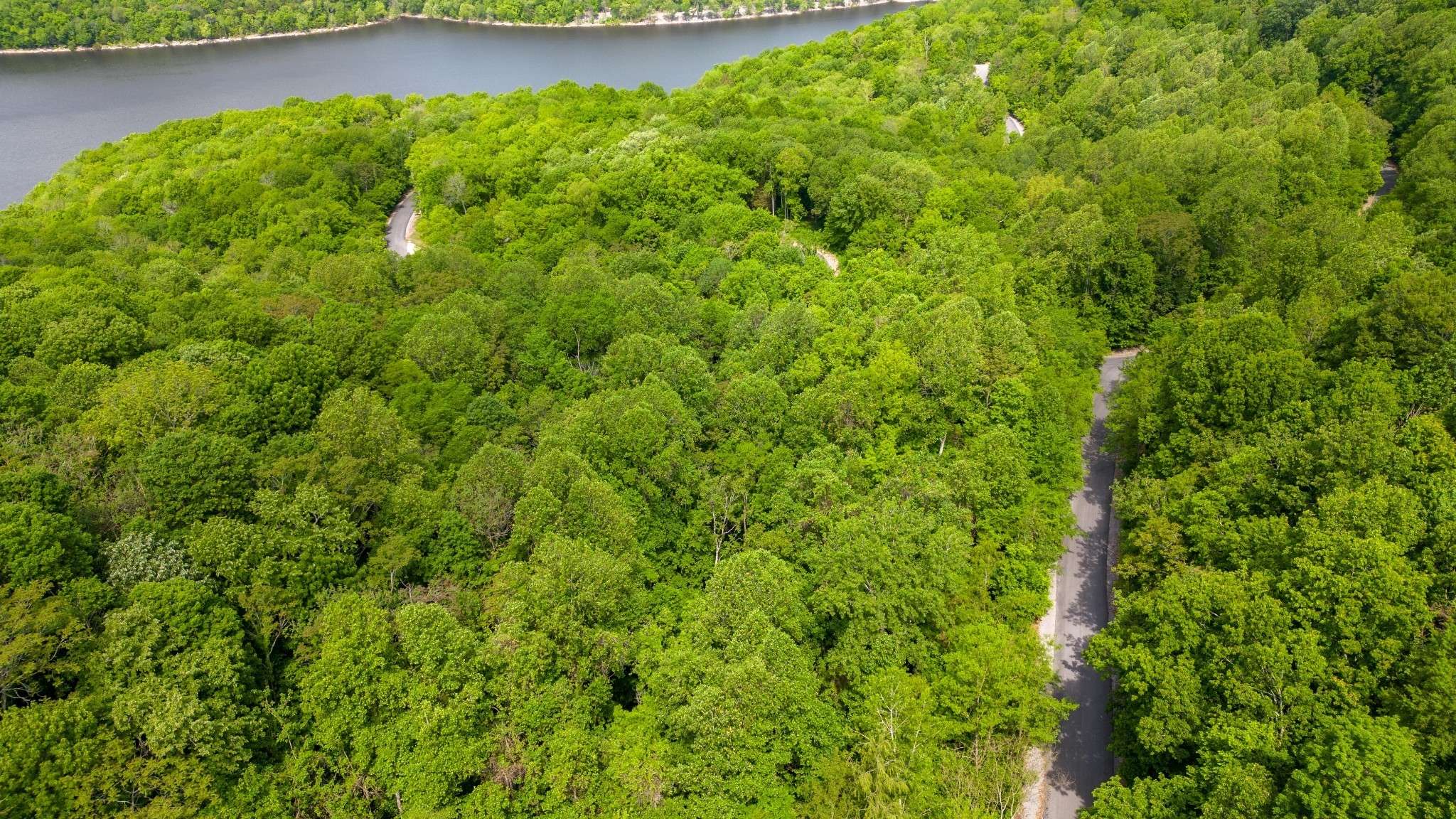 Smithville, TN 37166,60 Maury Lane