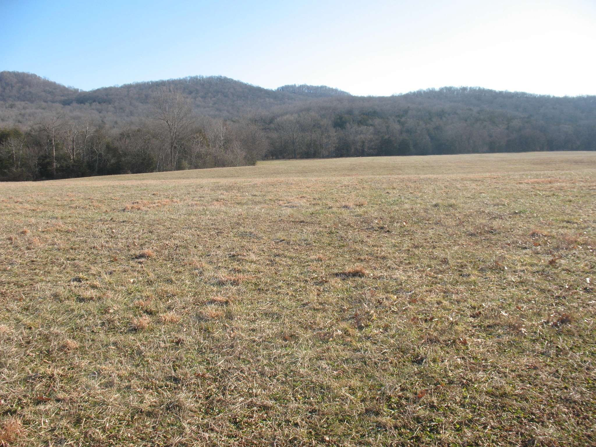 Woodbury, TN 37190,0 Burt Burgen Road