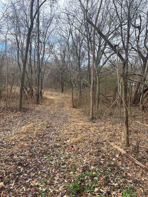 Adams, TN 37010,0 Mayo Rd