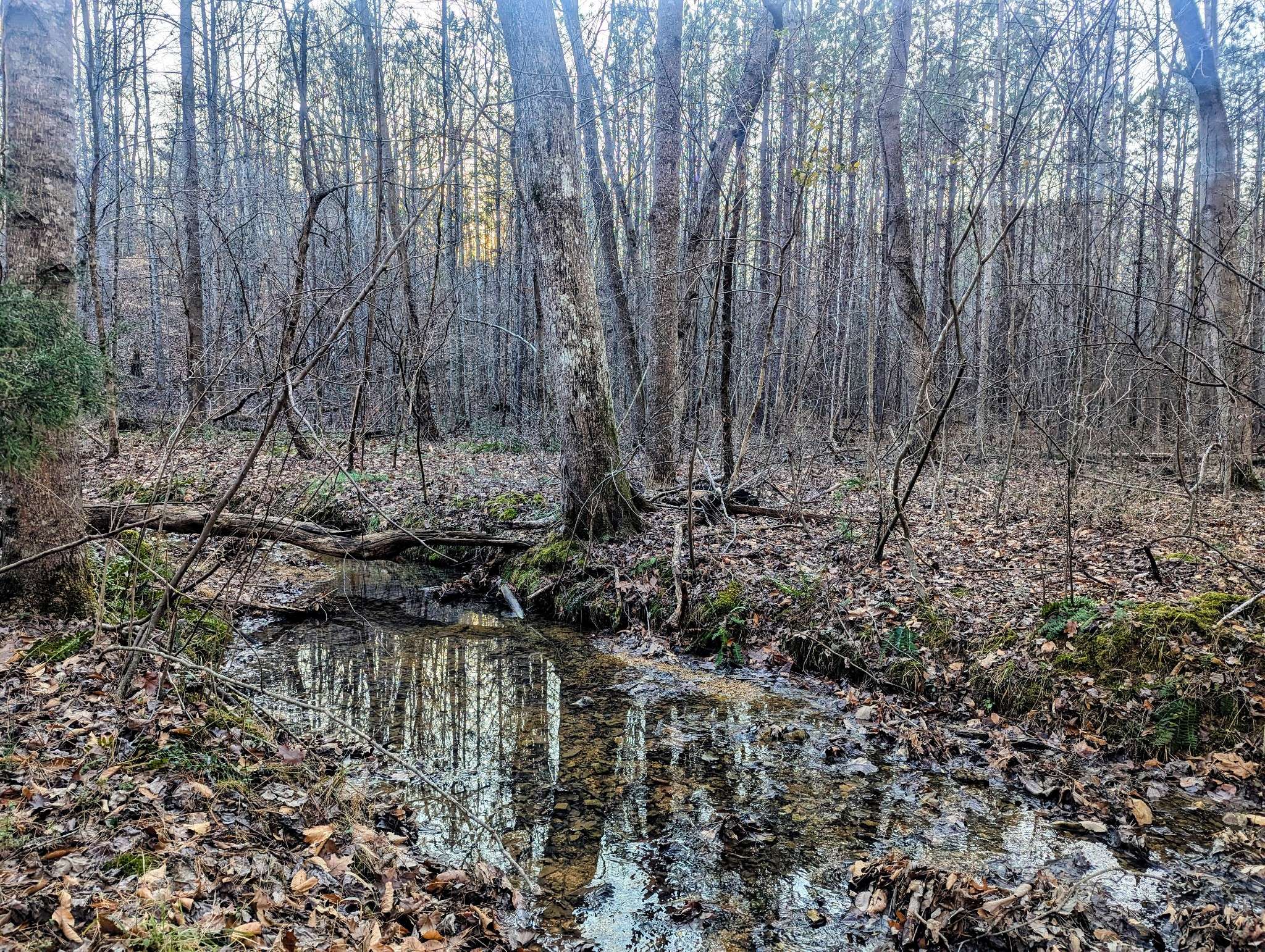 Duck River, TN 38454,0 New Sheboss Rd