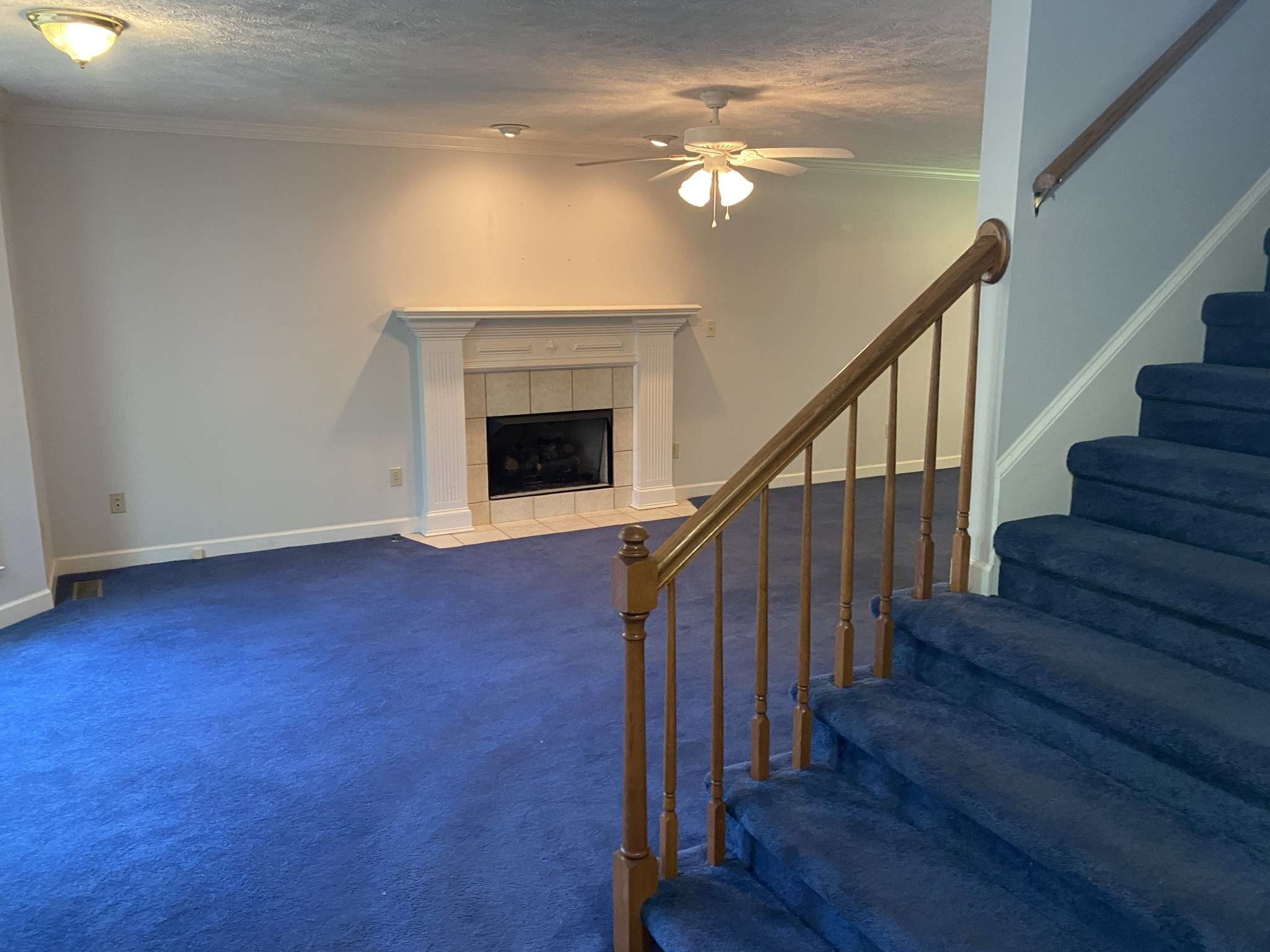 Jackson, TN 38305,56 Braddock Pl