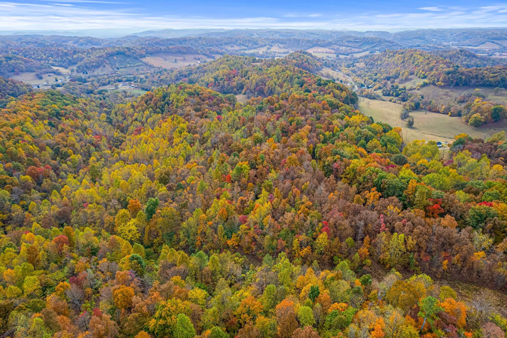 Lewisburg, TN 37091,0 Monte Murrey