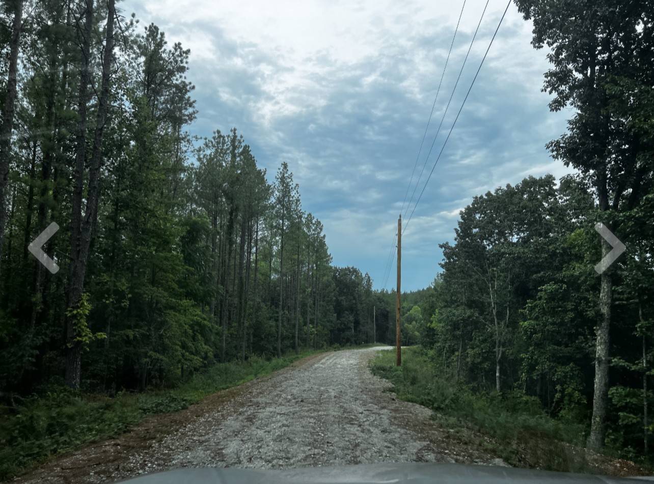 Waverly, TN 37185,0 Bear Creek Lot 53 Rd