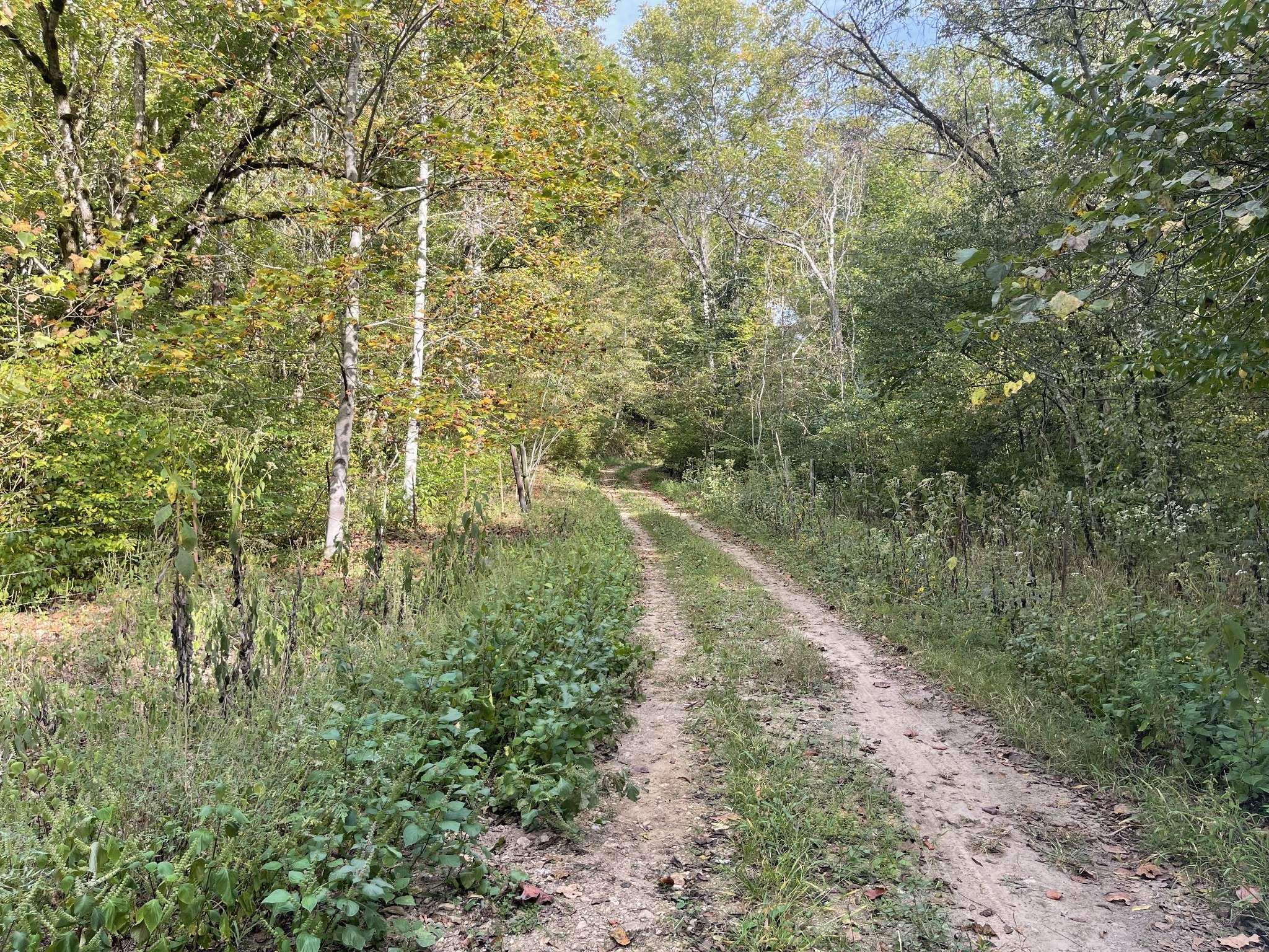 Lawrenceburg, TN 38464,1 Jones Hollow Rd