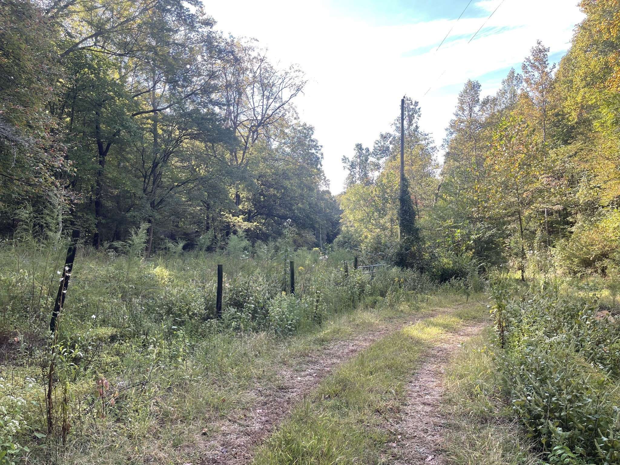 Lawrenceburg, TN 38464,1 Jones Hollow Rd