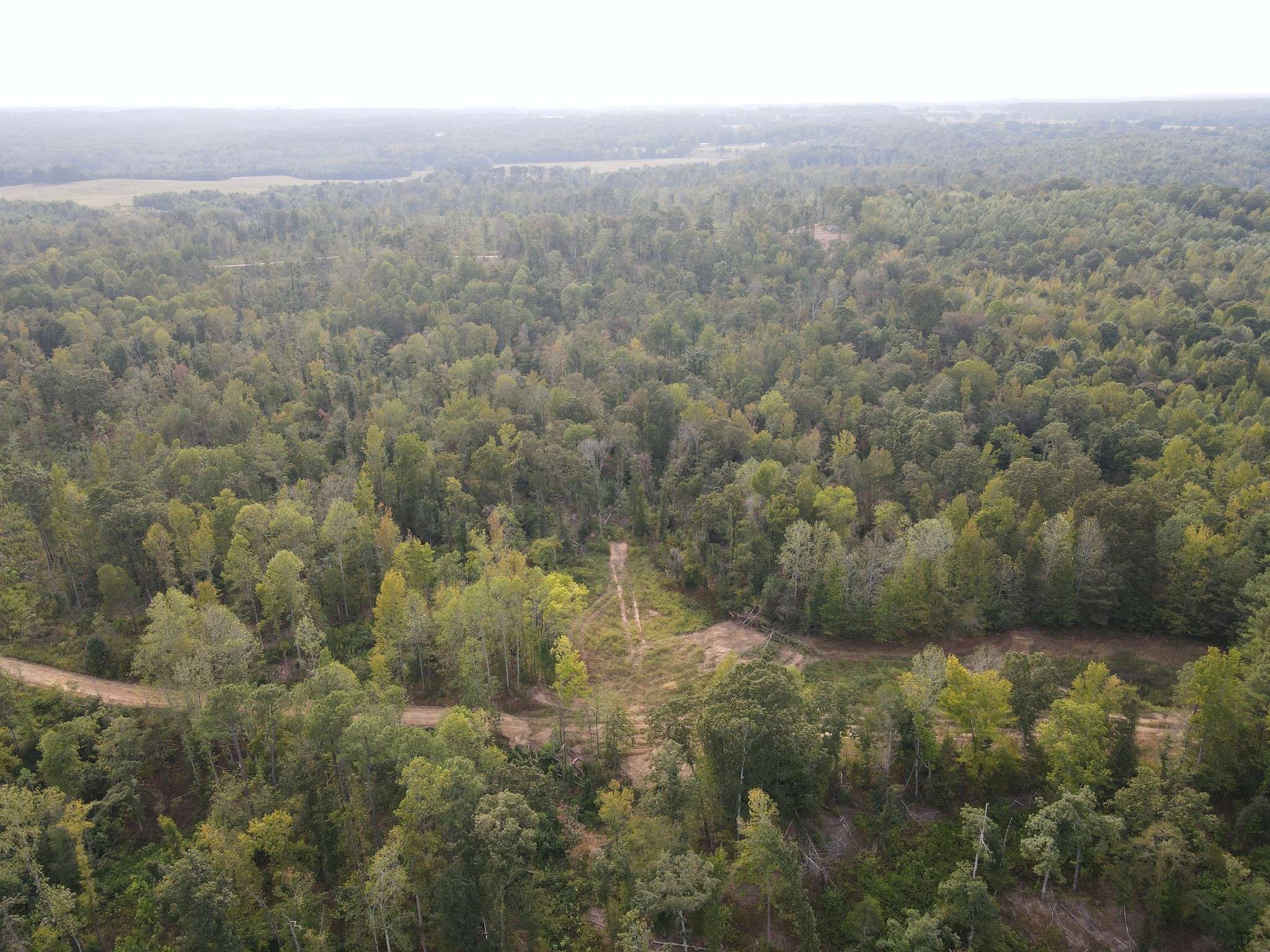 Springville, TN 38256,0 Copper Spring Road