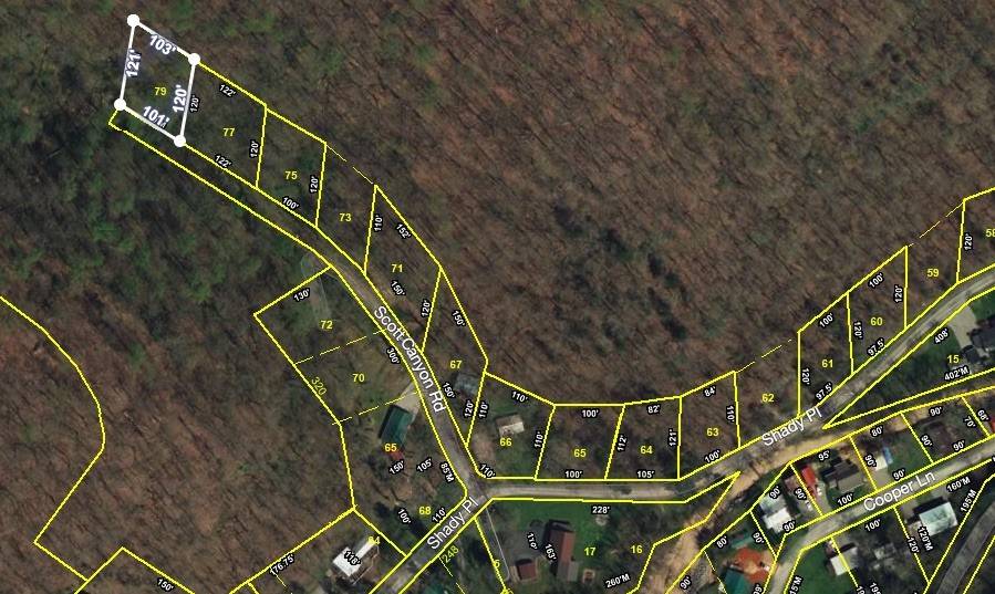 Smithville, TN 37166,0 SCOTT CANYON RD